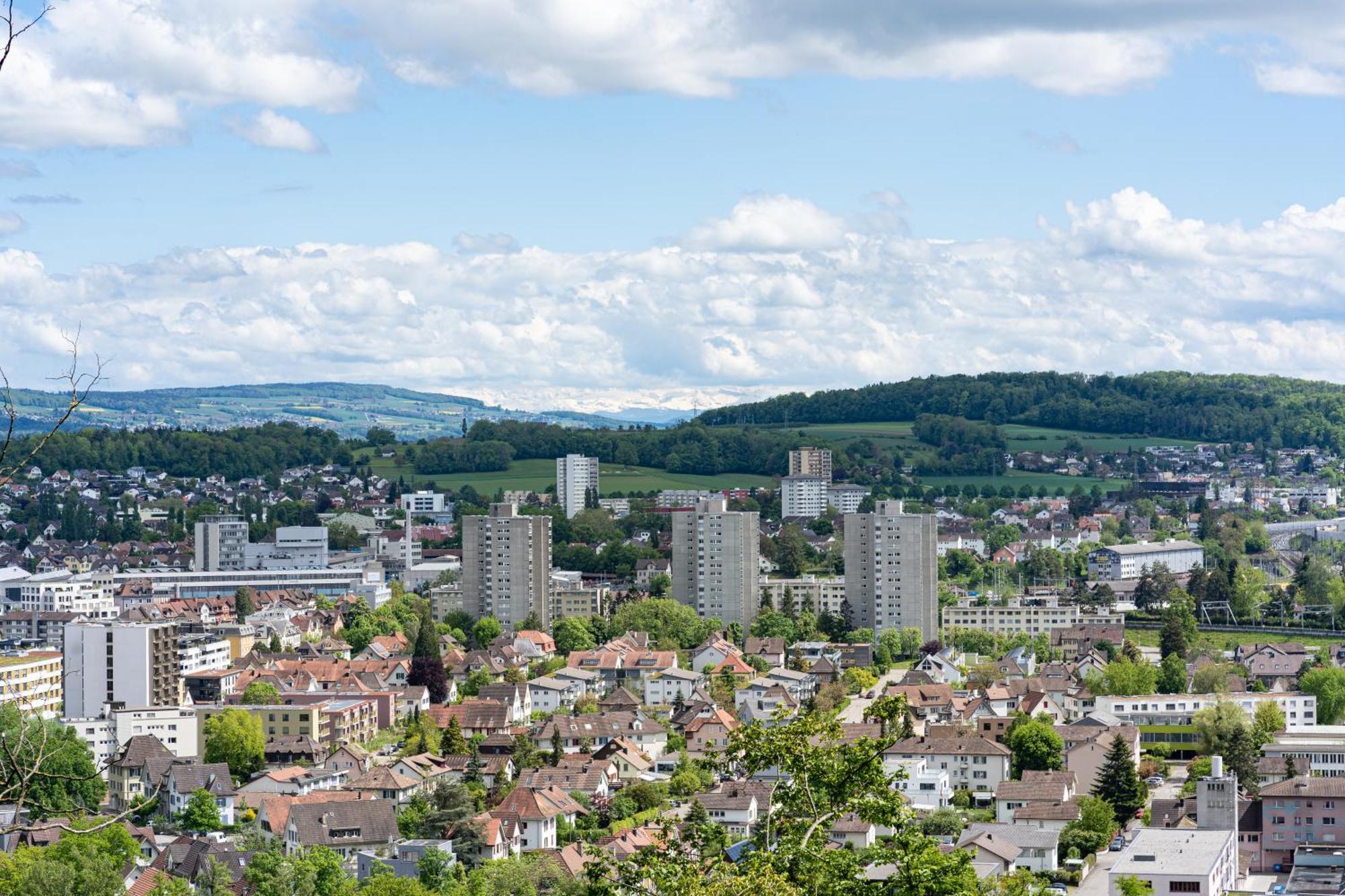 Tiny House Chez Claudine - Relaxen, Workspace, Naehe Thermen, Netflix, Free Parking & Wifi Brugg  Extérieur photo