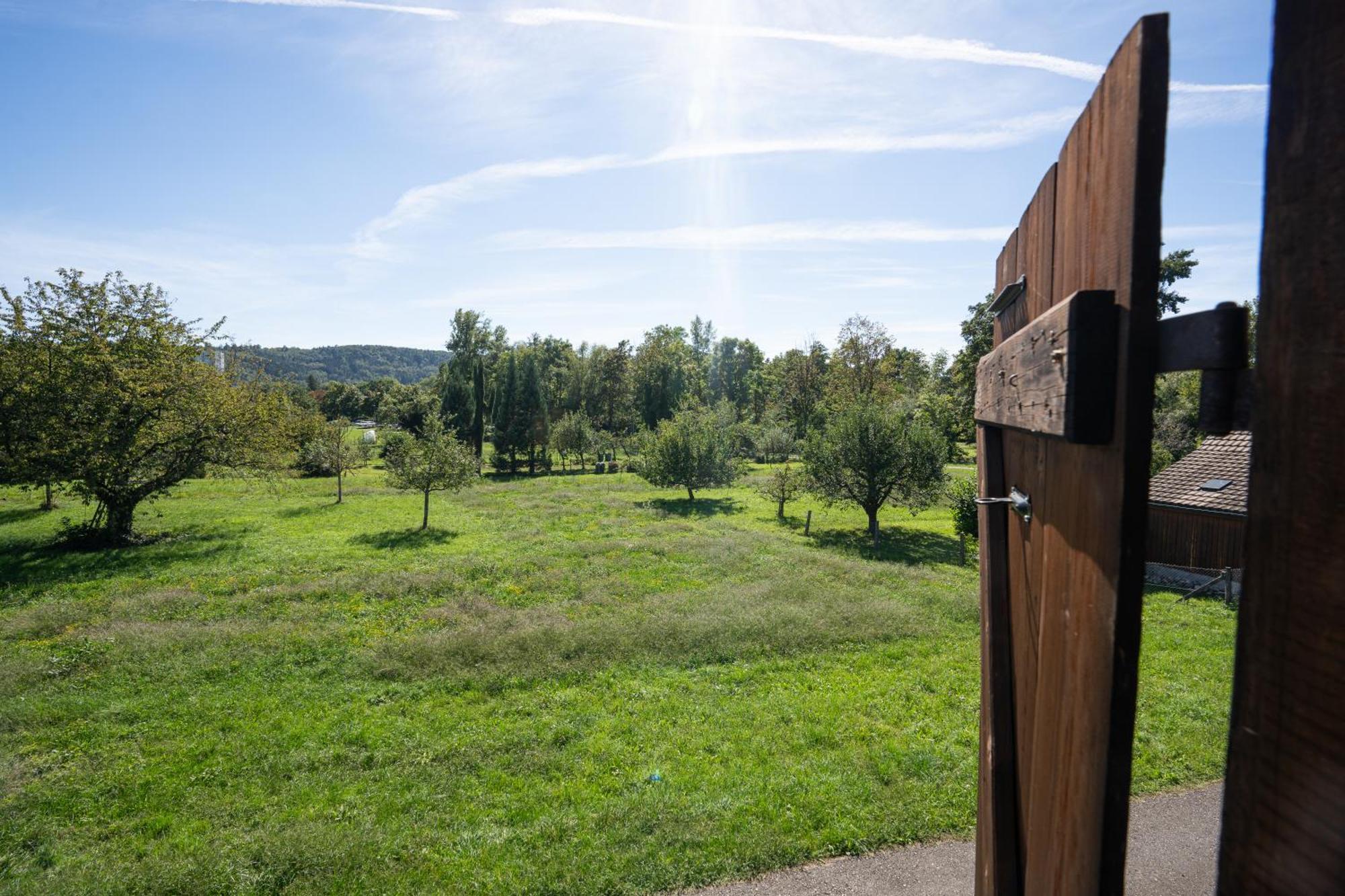 Tiny House Chez Claudine - Relaxen, Workspace, Naehe Thermen, Netflix, Free Parking & Wifi Brugg  Extérieur photo